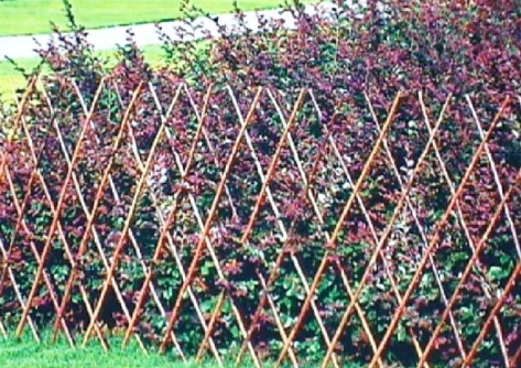Willow Trellis