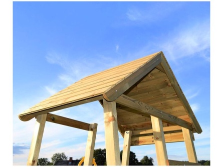 Wendi Toys Salamander