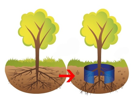 Root barrier