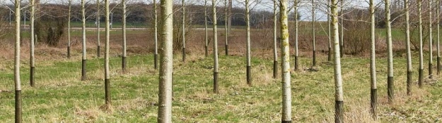 Családi ház ereszcsatornájára szerelt ereszháló