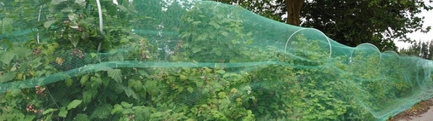 Madárhálók a gyümölcsösök védelméért