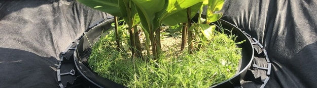 Műanyag szegély egy kör alakú virágágyás körül