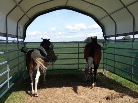 ShelterLogic 3,7 × 3,7 m