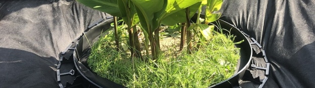 Műanyag szegély egy kör alakú virágágyás körül