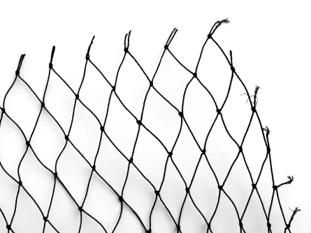 Birdnet K (60 g/m², 30x30 mm-es)