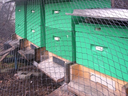 Birdnet R (25 g/m², szem 20×20 mm)