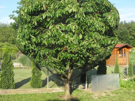 Birdnet R (25 g/m², szem 20×20 mm)