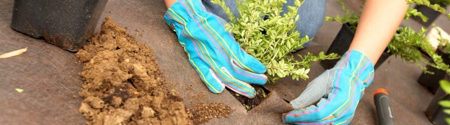 Növények ültetéséhez használt kerti szövetek