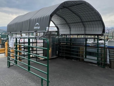 ShelterLogic 3,7 × 3,7 m