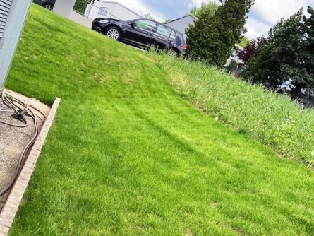 easygreen Play and Sports Lawn