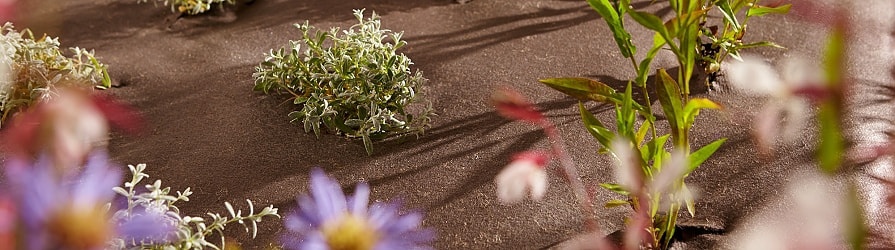 Lebomló geotextília ültetett növényekkel