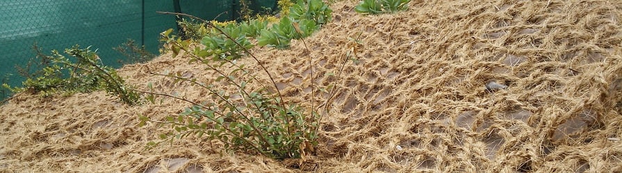 Kókuszháló, benőtt növényekkel a lejtőn