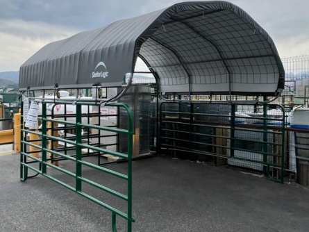 ShelterLogic 3,7 × 3,7 m