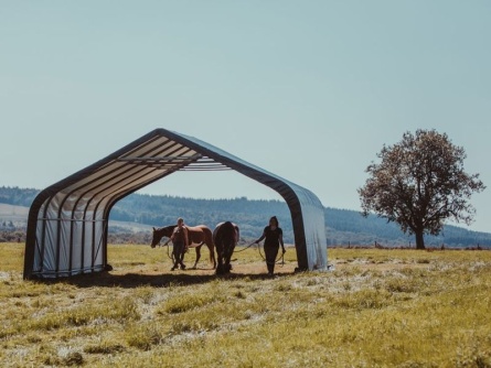 ShelterLogic Run-In-Shed 6,7 × 7,3 m